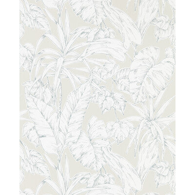 NZAW112026-SCN PARLOUR PALM SCION Wallpaper