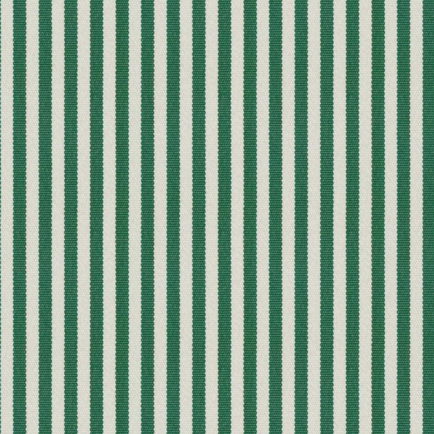 OA2647 Maxwell INDOOR/OUTDOOR # 647 FERN HG-ACTVIII