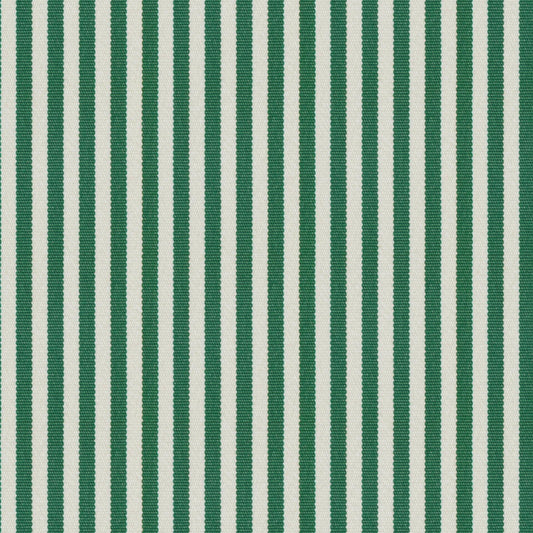 OA2647 Maxwell INDOOR/OUTDOOR # 647 FERN HG-ACTVIII