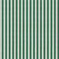 OA2647 Maxwell INDOOR/OUTDOOR # 647 FERN HG-ACTVIII