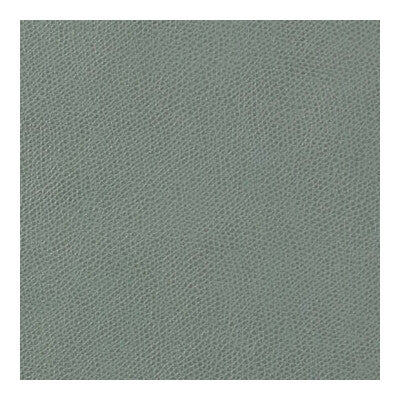 OPHIDIAN-113 OPHIDIAN MINERAL KRAVET CONTRACT UPHOLSTERY