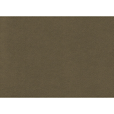 OPHIDIAN-606 OPHIDIAN BARK KRAVET CONTRACT UPHOLSTERY