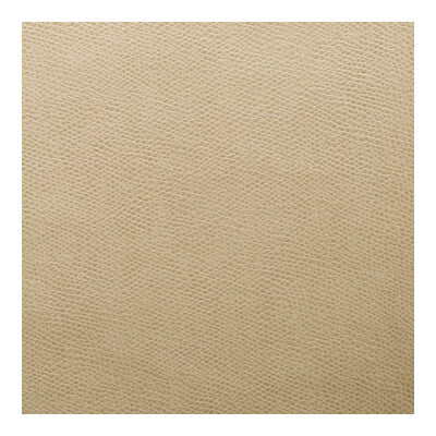 OPHIDIAN-61 OPHIDIAN AU LAIT KRAVET CONTRACT UPHOLSTERY