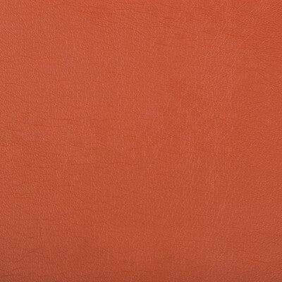 OPTIMA-12 OPTIMA NECTARINE KRAVET CONTRACT UPHOLSTERY