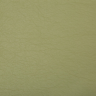 OPTIMA-130 OPTIMA GREEN TEA KRAVET CONTRACT UPHOLSTERY