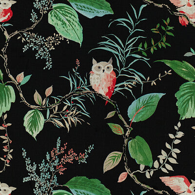 OWLISH-819 OWLISH BLACK KRAVET DESIGN Fabrics Drapery Upholstery