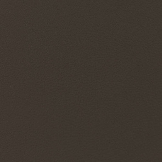 Oliver Espresso Plain,Sheen Brown Charlotte Fabrics Genuine Leather