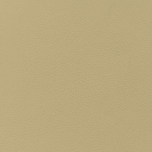 Oliver Flax Plain,Sheen Beige & Taupe Charlotte Fabrics Genuine Leather