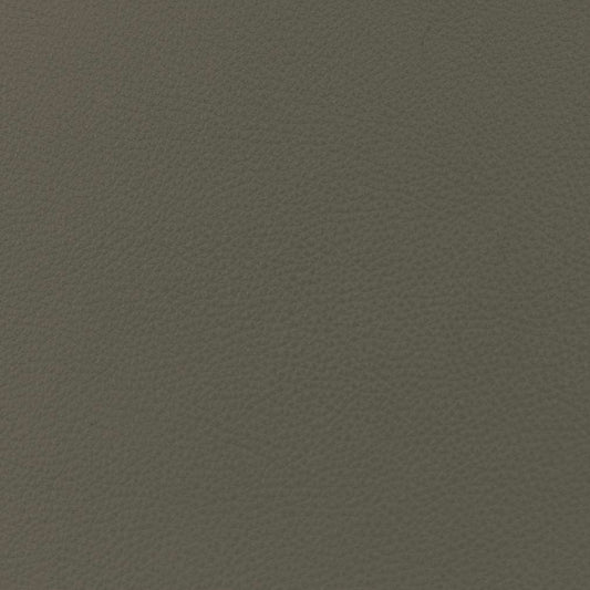 Oliver Pewter Plain,Sheen Grey & Silver Charlotte Fabrics Genuine Leather