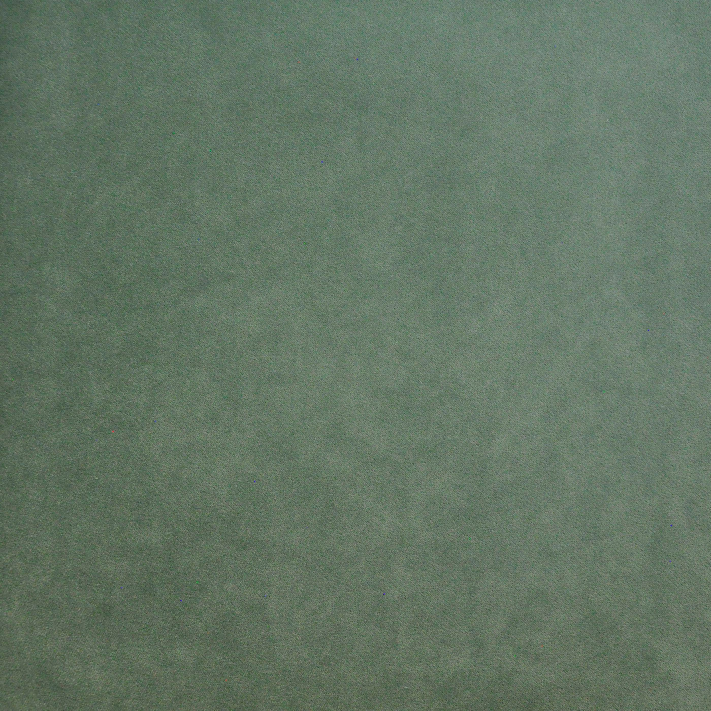 PAD415 Maxwell INDOOR/OUTDOOR # 415 DUCKEGG HG-ACTVII