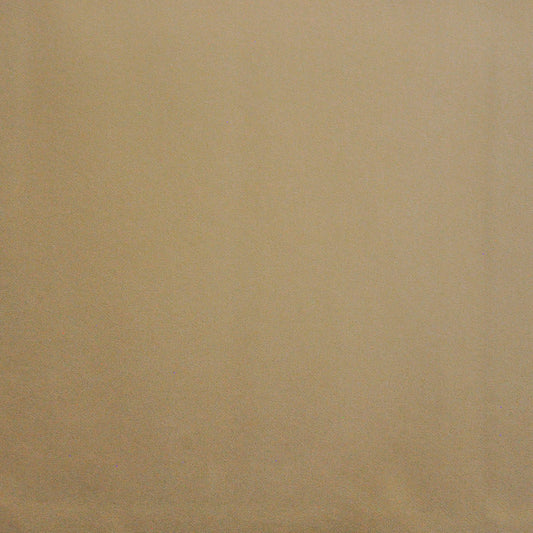 PAD421 Maxwell INDOOR/OUTDOOR # 421 CREAM HG-ACTVII