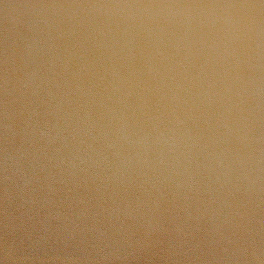 PAD422 Maxwell INDOOR/OUTDOOR # 422 COOKIE HG-ACTVII