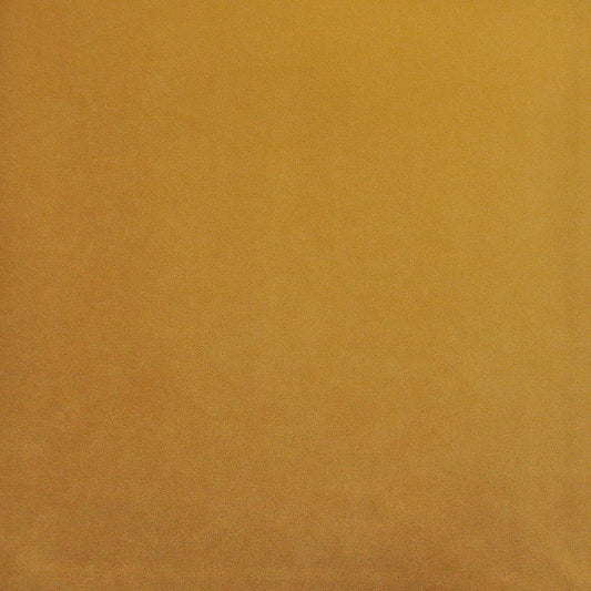 PAD423 Maxwell INDOOR/OUTDOOR # 423 BUTTER HG-ACTVII