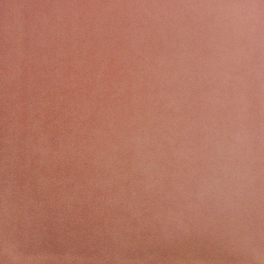 PAD427 Maxwell INDOOR/OUTDOOR # 427 ROSE HG-ACTVII
