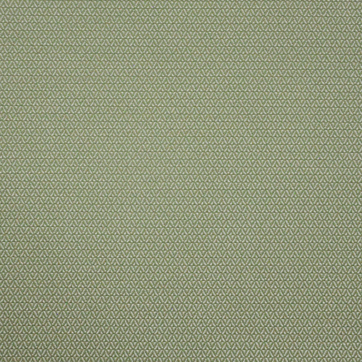 PAE646 Maxwell INDOOR/OUTDOOR # 646 BASIL HG-ACTVI