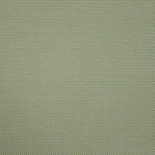 PAE646 Maxwell INDOOR/OUTDOOR # 646 BASIL HG-ACTVI