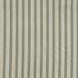 PAH906 Maxwell UPHOLSTERY STRIPES # 906 LICHEN PW-PEACHTREE