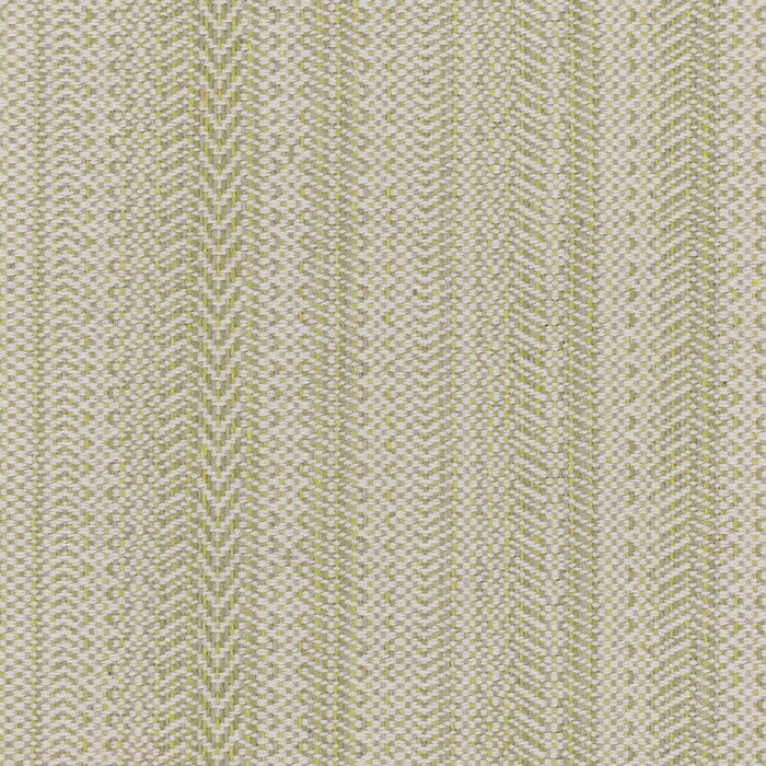 PAIN-1 STOUT PAINE 1 SEEDLING SEEDLING UPHOLSTERY