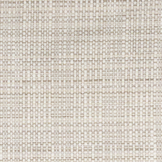 PARO-1 STOUT PARODY 1 MUSHROOM MUSHROOM UPHOLSTERY