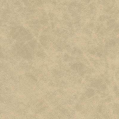 PATCH-11 KRAVET DESIGN PATCH-11 KRAVET DESIGN UPHOLSTERY