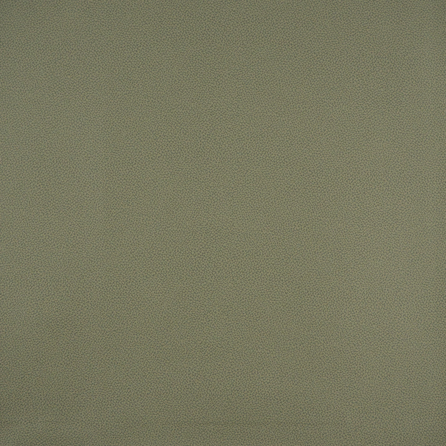 PB3821 Maxwell FAUX LEATHER # 821 ASPARAGUS EASYRIDERIX