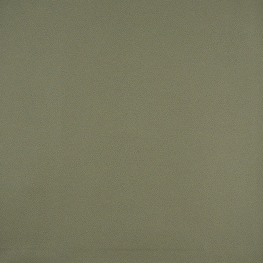 PB3821 Maxwell FAUX LEATHER # 821 ASPARAGUS EASYRIDERIX