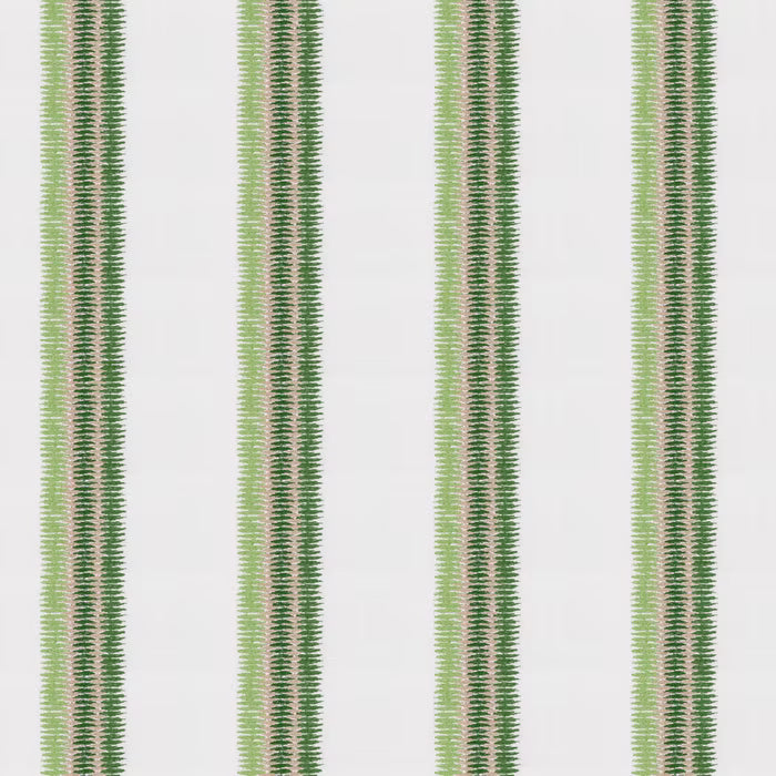PICC-1 STOUT PICCADILLY 1 GRASS GRASS MULTIPURPOSE