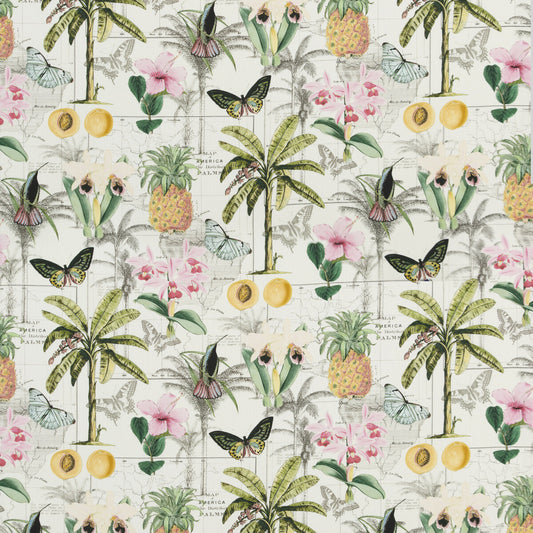 PP50434-1 ORINOCO TROPICAL BAKER LIFESTYLE Fabrics Drapery Upholstery