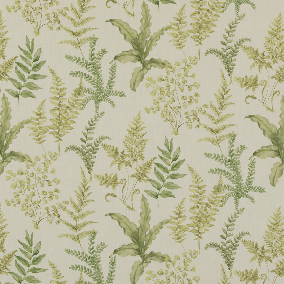 PP50503-3 FERNDOWN GREEN BAKER LIFESTYLE Fabrics Drapery Upholstery
