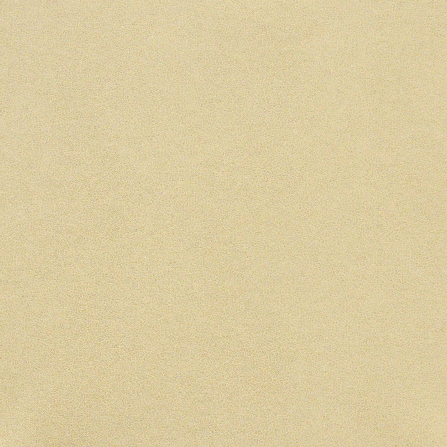 PQ5011 Maxwell FAUX LEATHER # 011 PARCHMENT EASYRIDERVIII