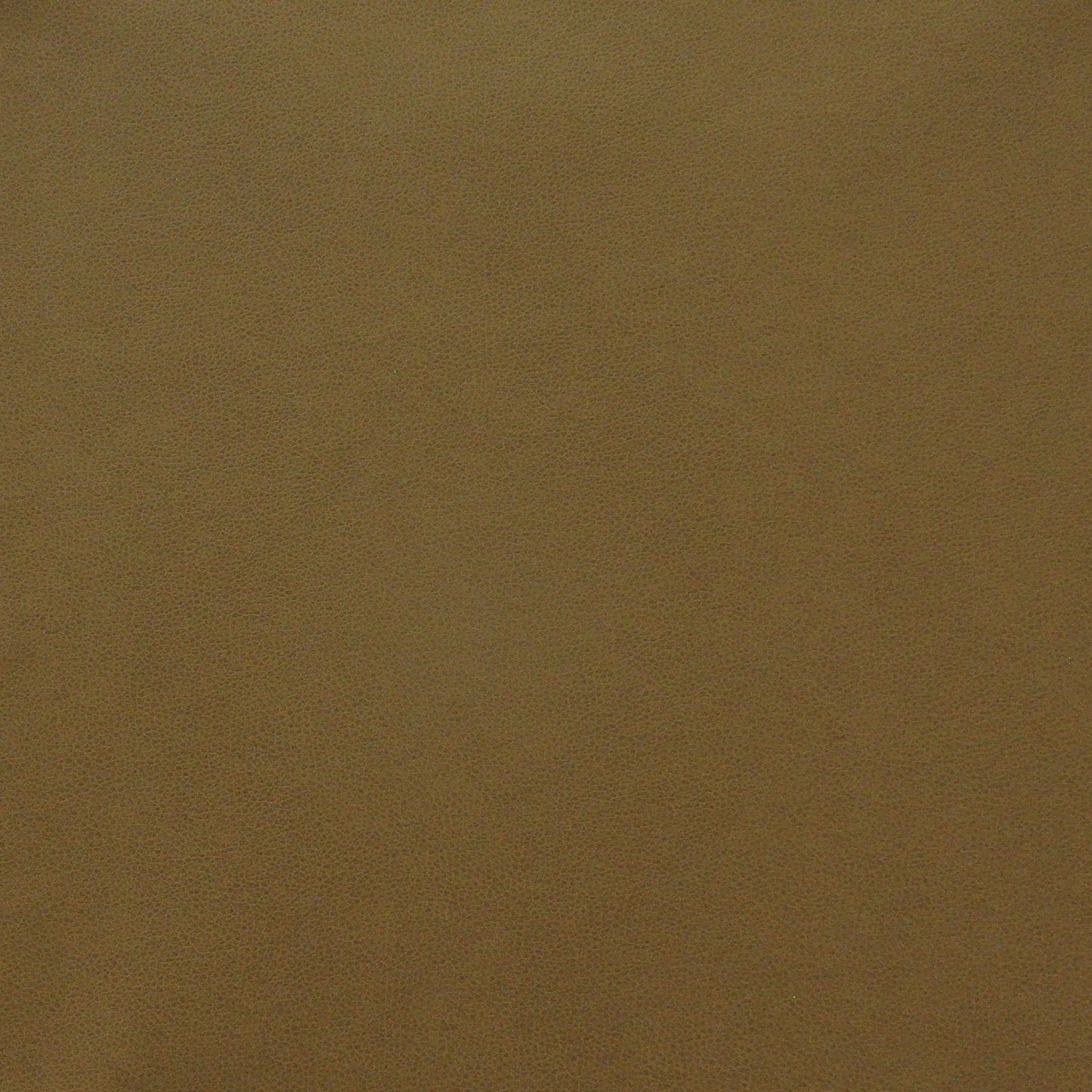 PQ5013 Maxwell FAUX LEATHER # 013 RAM EASYRIDERVIII