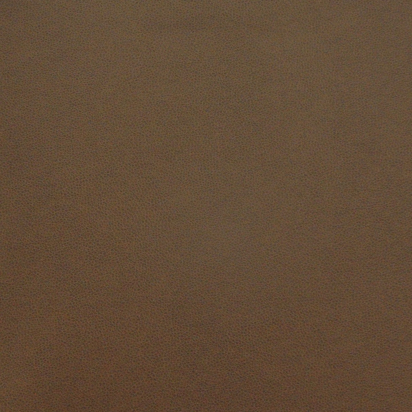 PQ52005 Maxwell FAUX LEATHER # 2005 EARTH EASYRIDERVIII
