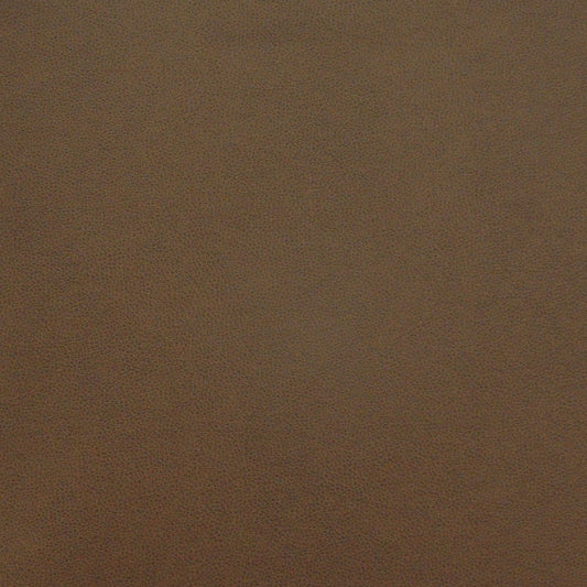 PQ52005 Maxwell FAUX LEATHER # 2005 EARTH EASYRIDERVIII