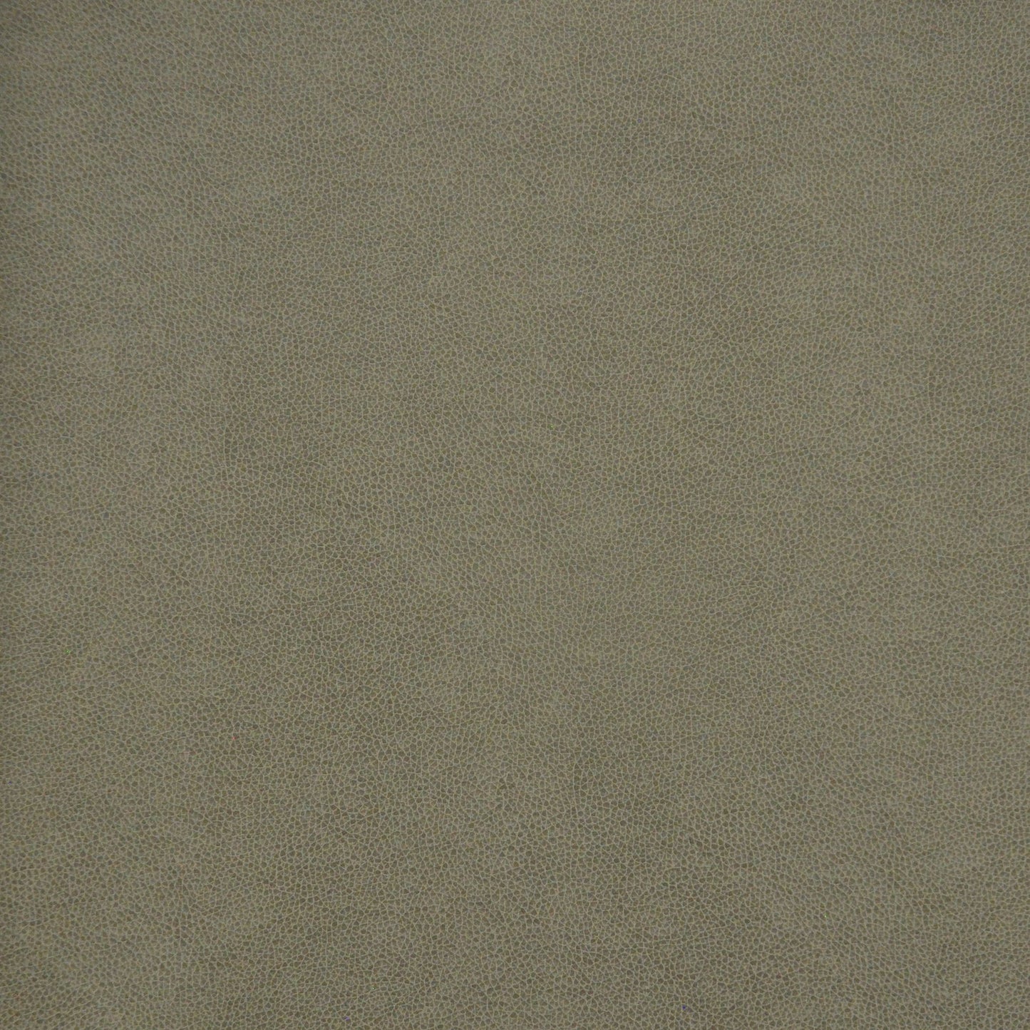 PQ55007 Maxwell FAUX LEATHER # 5007 FLINTSTONE EASYRIDERVIII