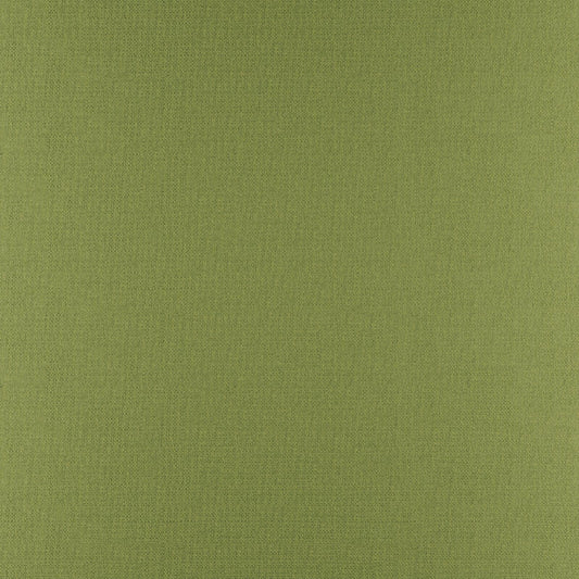 PY1317 Maxwell UPHOLSTERY SOLID/TEXTURES # 317 PALM PERFORMANCETEX