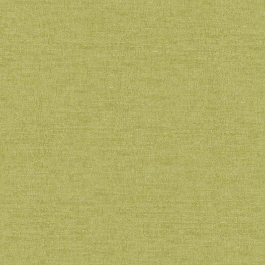 PZ7809 Maxwell CHENILLES SOLIDS/TEXTURES # 809 THYME CURLEDUPVIII