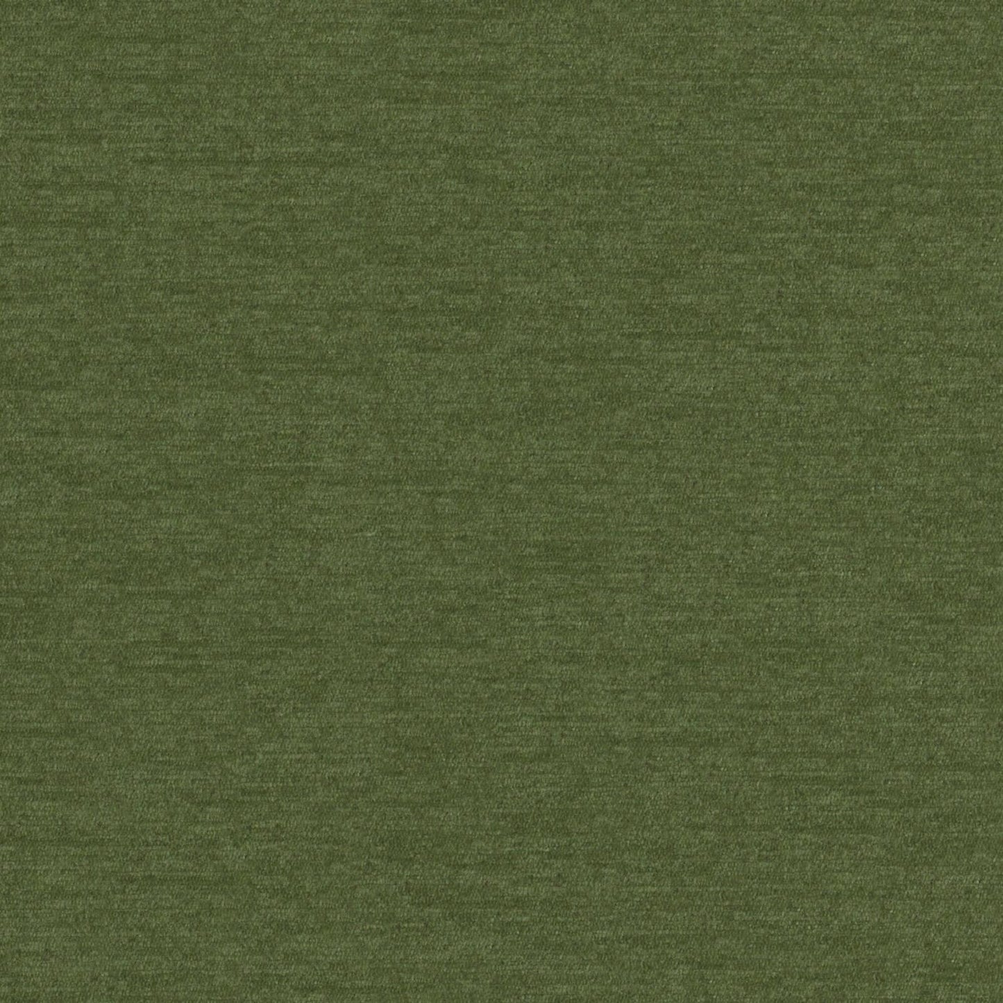 PZ7816 Maxwell CHENILLES SOLIDS/TEXTURES # 816 KELP CURLEDUPVIII