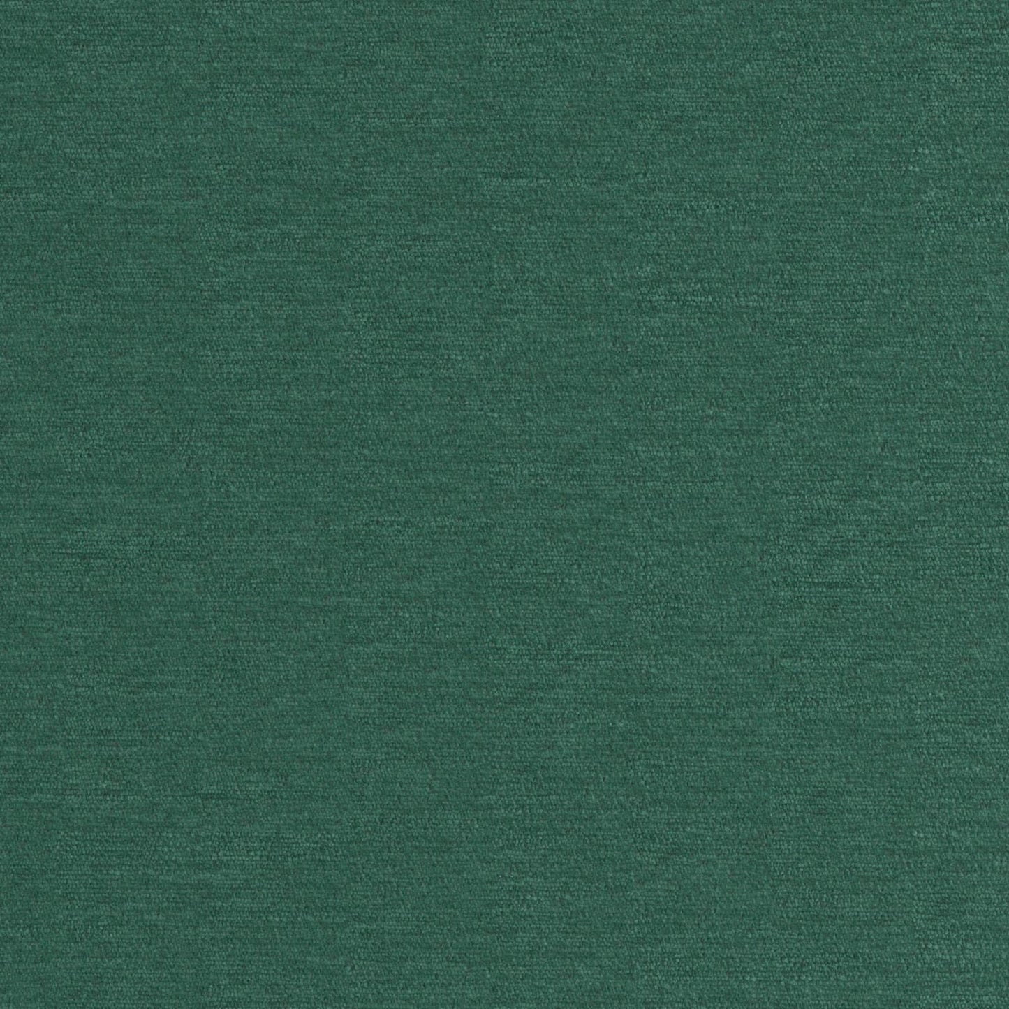 PZ7820 Maxwell CHENILLES SOLIDS/TEXTURES # 820 JUNGLE CURLEDUPVIII