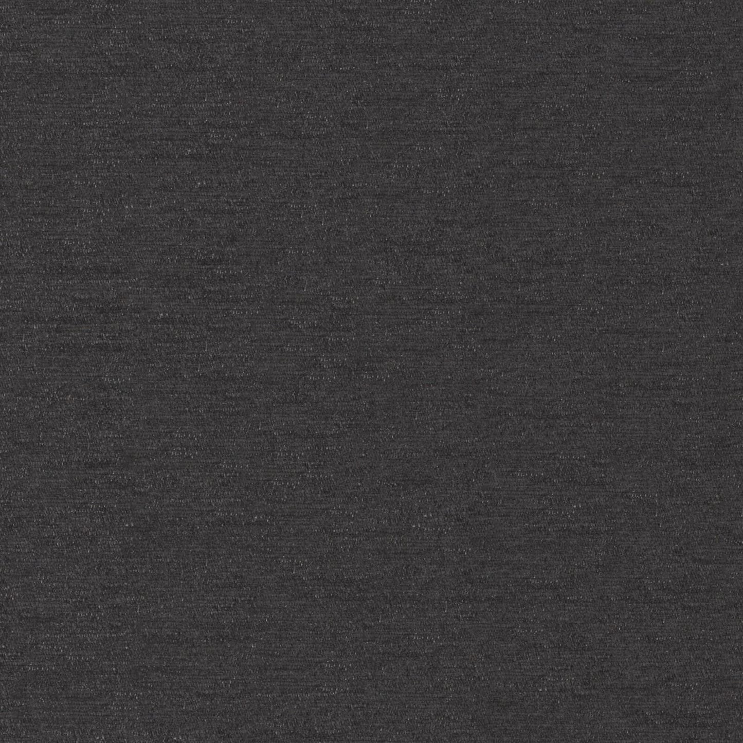 PZ7872 Maxwell CHENILLES SOLIDS/TEXTURES # 872 CHARCOAL CURLEDUPVIII