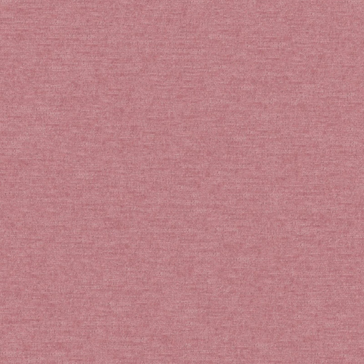PZ7883 Maxwell CHENILLES SOLIDS/TEXTURES # 883 PETAL CURLEDUPVIII