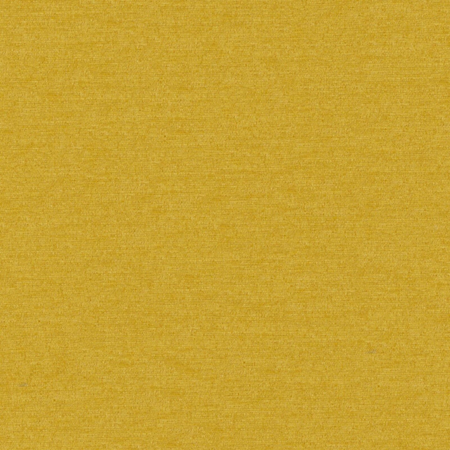 PZ7902 Maxwell CHENILLES SOLIDS/TEXTURES # 902 GOLD CURLEDUPVIII