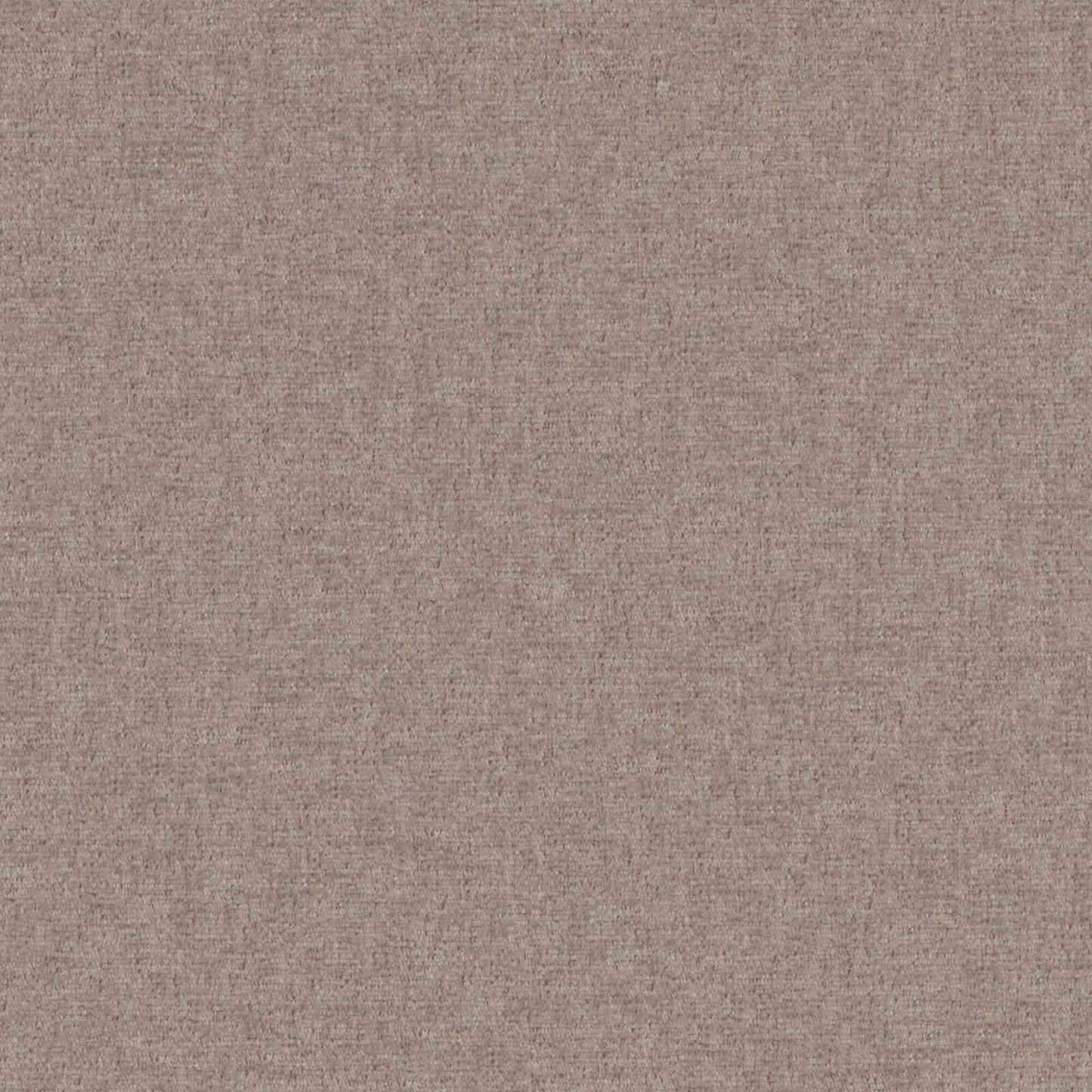 PZ7926 Maxwell CHENILLES SOLIDS/TEXTURES # 926 FAWN CURLEDUPVIII