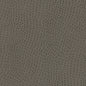 Q36873 Maxwell FABRIC # 873 SHARK MO-COATEDFABRICS