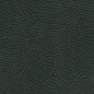 Q36894 Maxwell FABRIC # 894 FOREST MO-COATEDFABRICS