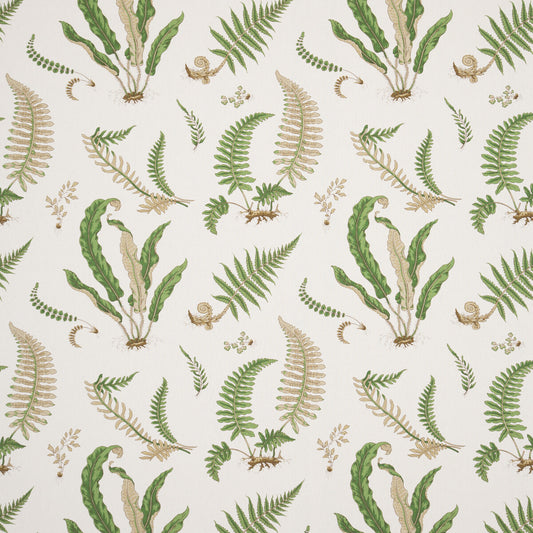 R1324-01 FERNS LINEN STONE/GREEN G P & J BAKER Fabrics Drapery Upholstery