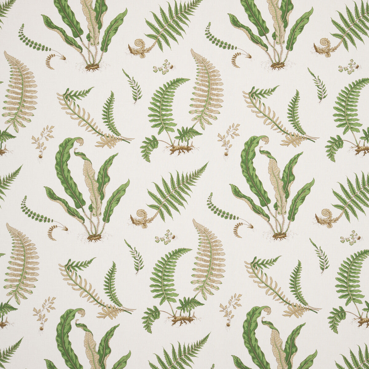 R1324-1 FERNS - LINEN STONE/GREEN G P & J BAKER Fabrics Drapery Upholstery