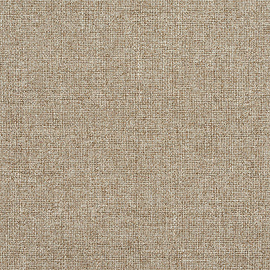 R134 Plain & Solid Dove Beige & Taupe Charlotte Fabrics