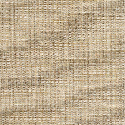 R154 Plain & Solid Sesame Beige & Taupe Charlotte Fabrics