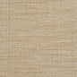 R154 Plain & Solid Sesame Beige & Taupe Charlotte Fabrics