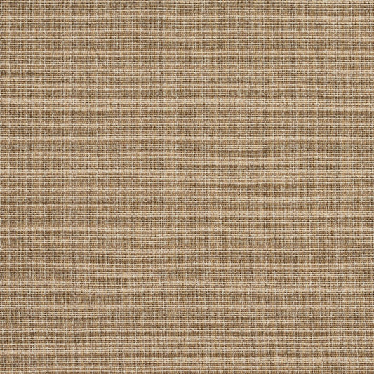 R156 Plain & Solid Wheat Beige & Taupe Charlotte Fabrics